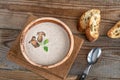 Wild mushroom cream soup Royalty Free Stock Photo