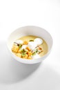 Wild mushroom cream soup with cheese profiteroles Royalty Free Stock Photo