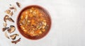 Wild mushroom mushroom soup in a brown clay plate on linen cloth, top view, copy space Royalty Free Stock Photo