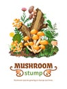 Wild Mushroom Species Growing On Stump
