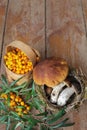 Wild mushrooms and berries on garden table