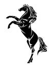 Wild mustang horse rearing up black and white vector design Royalty Free Stock Photo