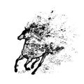 Running mustang horse black vector splash design Royalty Free Stock Photo