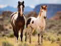 Ai Generated illustration Wildlife Concept of Wild mustang pinto paint horse mare colt foal nature Royalty Free Stock Photo