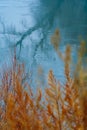 Wild natural landscape, late autumn season, river, bare branches of trees without leaves are reflected in the water, cloudy Royalty Free Stock Photo