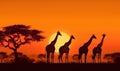 wild nature africa elephant safari silhouette animal wildlife giraffe sunset. Generative AI.