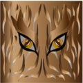 Brown wild tiger original skin and eyes.