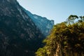 Nature in Canyon del Sumidero in Chiapas, Mexico Royalty Free Stock Photo