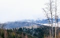 Wild nature of the Carpathian Mountains in winter. Coniferous forests and clouds Royalty Free Stock Photo