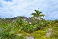 Wild nature on Eleuthera island, Bahamas Royalty Free Stock Photo