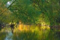 Wild nature lake landscape