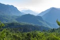 Forest, mountains, trees and misty weather