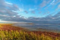 Wild nature landscape with salt lake, green and red grass and cloudy blue sky at sunrise