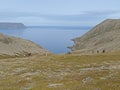 Wild nature of Mageroya Island, Norway Royalty Free Stock Photo