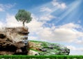 Wild nature, mountain landscape, girl doing free climbing on a steep wall. Olive tree on rough terrain