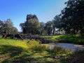 Wild nature in Poland, meadow, hundred years old oak trees, pond