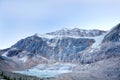 Wild nature in Rocky Mountains,Angel Glacier Jasper National Park Royalty Free Stock Photo