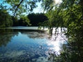 wild nature of Russia. wild forest lake covered with duckweed and surrounded by trees. Royalty Free Stock Photo