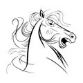 wild neighing horse close up head Royalty Free Stock Photo