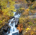 A wild Norwegian stream, during the picturesque autumn colors, near Rjukan