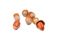 Wild nuts on white background.