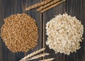 Wild oat grits or seeds and rolled oat flakes with oat spikes or