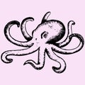 Wild ocean octopus