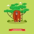 Wild orangutan vector illustration in flat style. Monkey - zoo animal design elements and icons Royalty Free Stock Photo