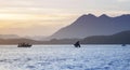 Wild Orca Breach Sunset Mountains Tofino British Columbia Royalty Free Stock Photo