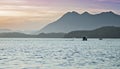 Wild Orcas Breach Swim with Sunset Mountains Tofino British Columbia