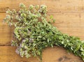 Fresh wild oregano herb Royalty Free Stock Photo