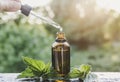 Wild organic Urtica dioica common nettle stinging nettle tincture in small brown glass bottle outdoors.