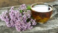 Wild origanum flower tea or decoction, marjoram buds on old textured rustic wooden background