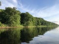 Wild Out of Doors in the Poconos