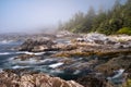 Wild Pacific Rim Trail, Ucluelet, on the Ucluelet Peninsula on the west coast of Vancouver Island in British Columbia Royalty Free Stock Photo