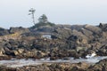 Wild Pacific Trail, Ucluelet, BC Royalty Free Stock Photo
