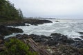 Wild Pacific Trail, Ucluelet, Tofino, Pacific Rim National Park, Vancouver Island, British Columbia, Canada Royalty Free Stock Photo