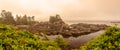 Wild Pacific Trail in Ucluelet, Vancouver Island, British Columbia Canada Royalty Free Stock Photo