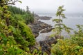 Wild Pacific Trail in Ucluelet, Vancouver Island, British Columbia Canada Royalty Free Stock Photo