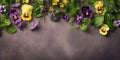 Wild pansy blue flower plant blurred beauty photo, copy space background