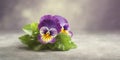 Wild pansy blue flower plant blurred beauty photo, copy space background