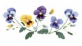 The Wild Pansy, field flower, the Heartsease, meadow floral plant. Gentle wildflower branch. Viola tricolor, delicate Royalty Free Stock Photo