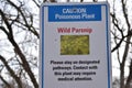 Wild Parsnip Poisonous Plant Warning Sign