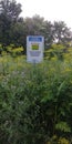 Wild Parsnip Warning Sign Amidst the Toxic Plants