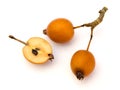 Wild Pear Fruit Royalty Free Stock Photo