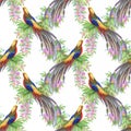 Wild Pheasant animals birds in watercolor floral seamless pattern Royalty Free Stock Photo