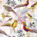 Wild Pheasant animals birds in watercolor floral seamless pattern Royalty Free Stock Photo