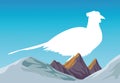 Wild pheasant bird animal silhouette in landscape scene