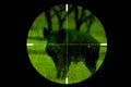 Look trough a riflescope Royalty Free Stock Photo