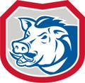 Wild Pig Razorback Head Shield Retro Royalty Free Stock Photo